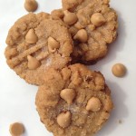 Easy Peanut Butter Chip Peanut Butter Cookies Recipe