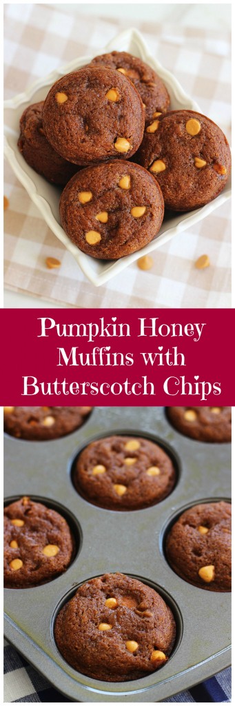 Pumpkin Honey Muffins