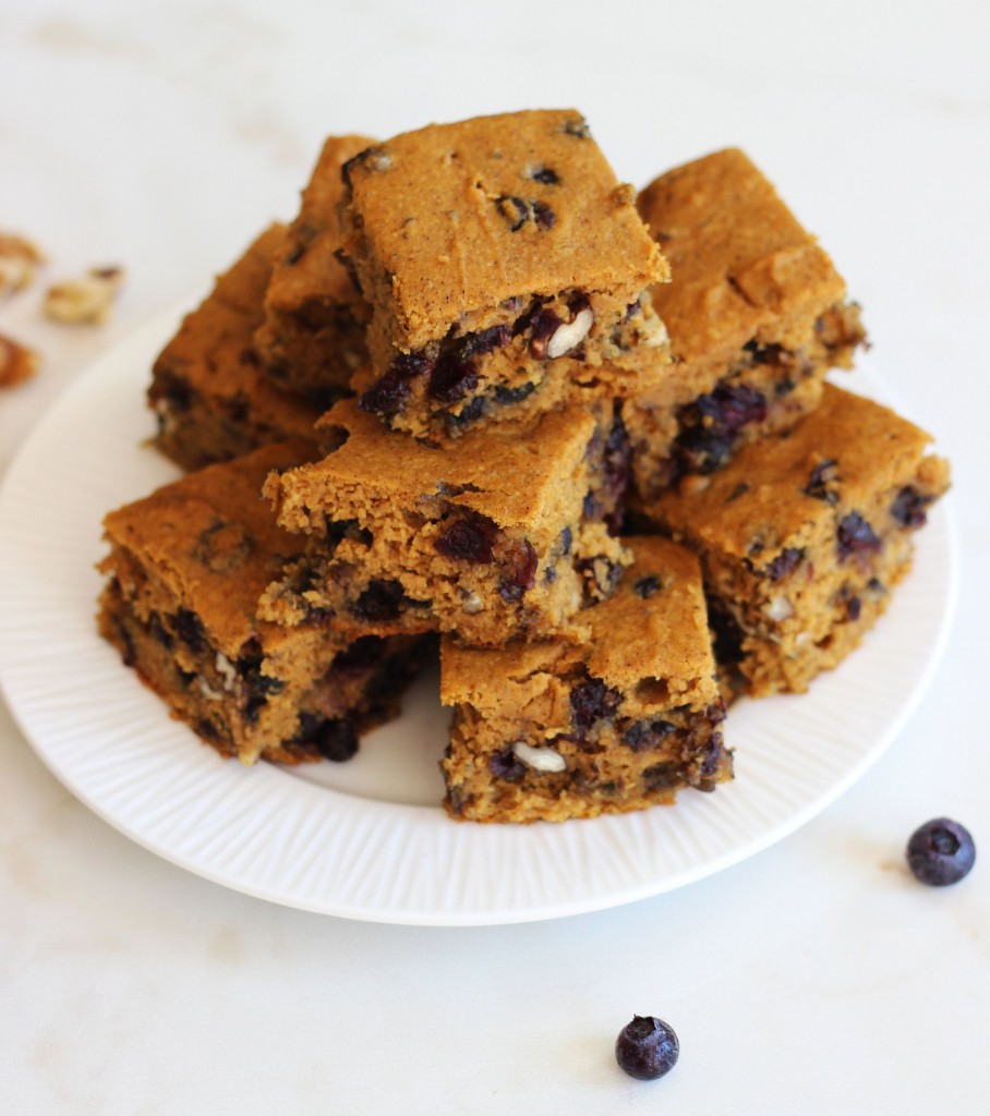 pumpkin protein bars with blueberries pecans 1