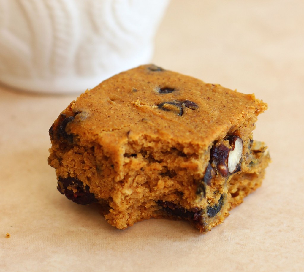 pumpkin protein bars with blueberries pecans 11