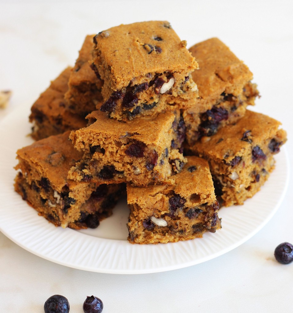 pumpkin protein bars with blueberries pecans 3