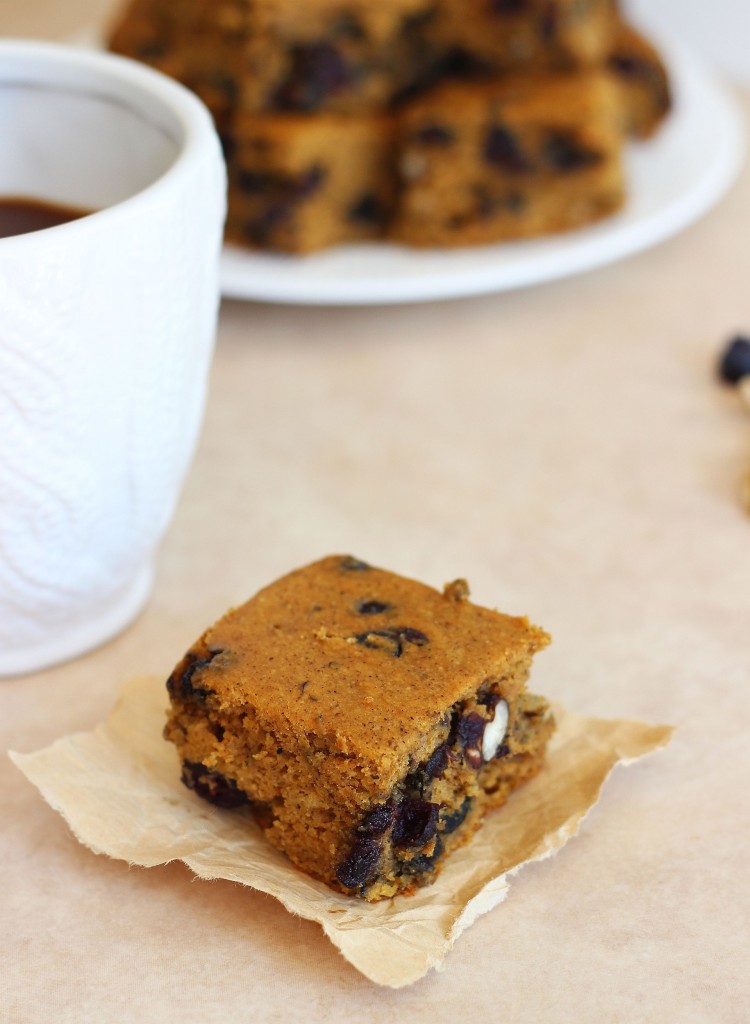 pumpkin protein bars with blueberries pecans 6