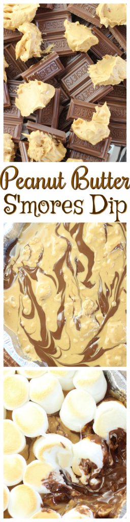 Peanut Butter S'mores Dip pin 2