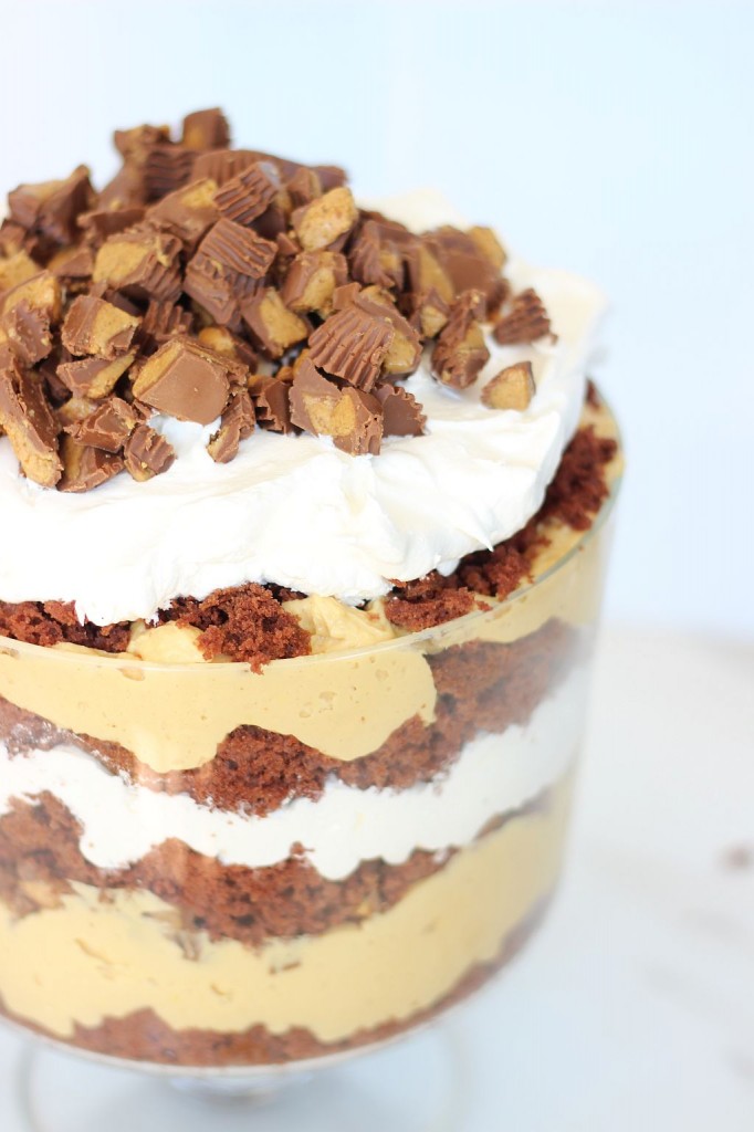 peanut butter cup trifle 16