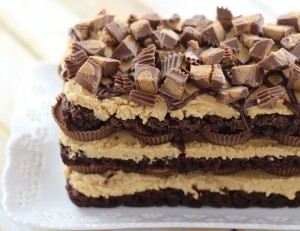 peanut butter cup brownie torte 5