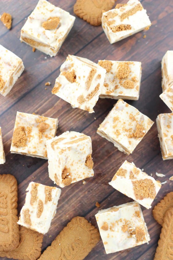 5-minute biscoff cinnamon bun fudge 13