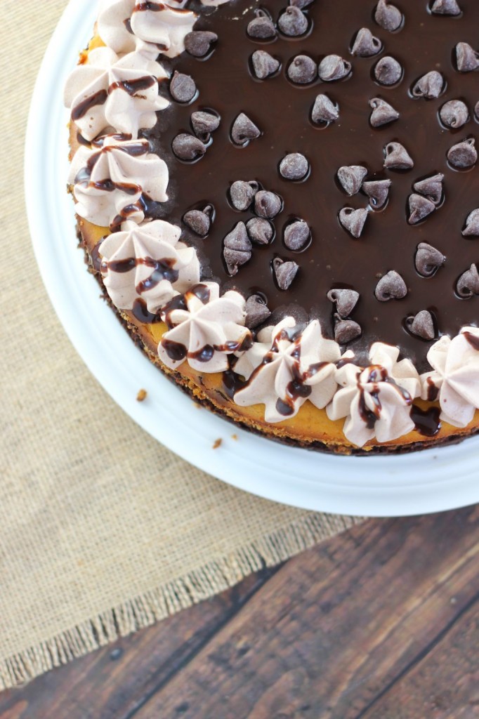 pumpkin chocolate chip brownie cheesecake 12