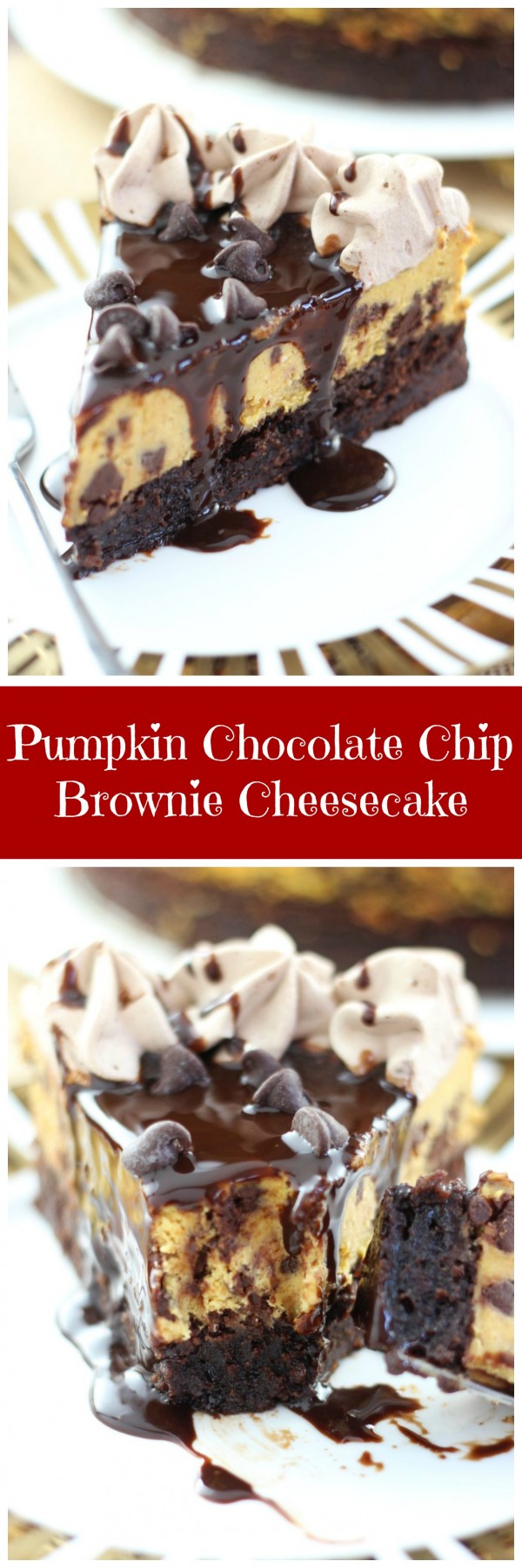 Pumpkin Chocolate Chip Brownie Cheesecake - The Gold Lining Girl