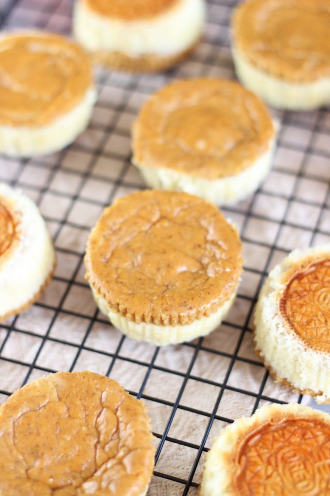 pumpkin spice oreo cheesecakes 5