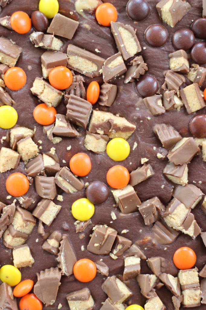 peanut butter cup fudge 3