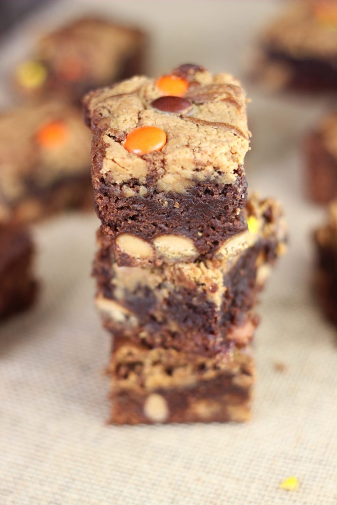 peanut butter swirl brownies 11