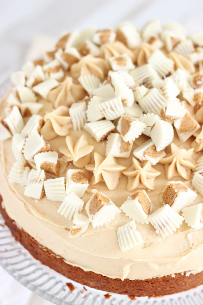 white chocolate peanut butter blondie cheesecake 15