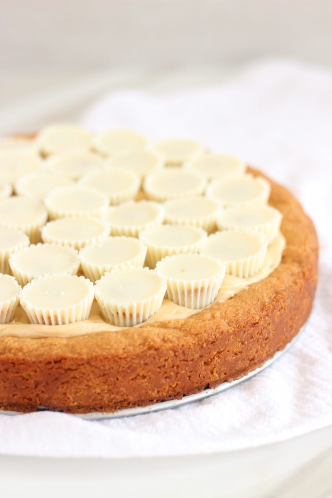 White Chocolate Peanut Butter Blondie Cheesecake