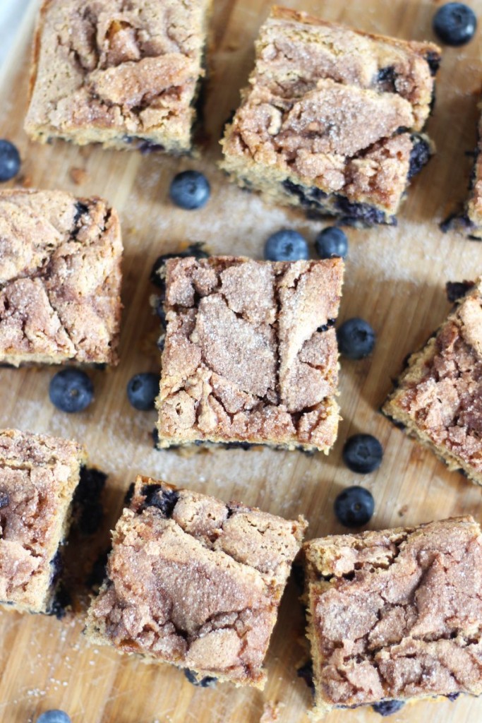 blueberry cinnamon swirl protein coffee cake 11