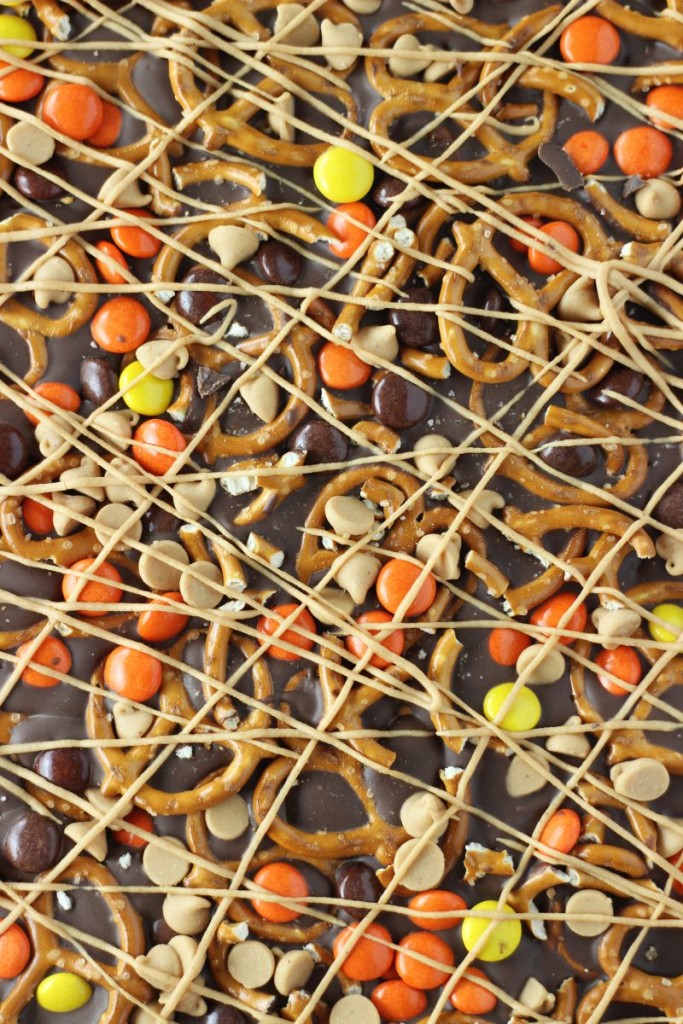 chocolate peanut butter pretzel bark 1