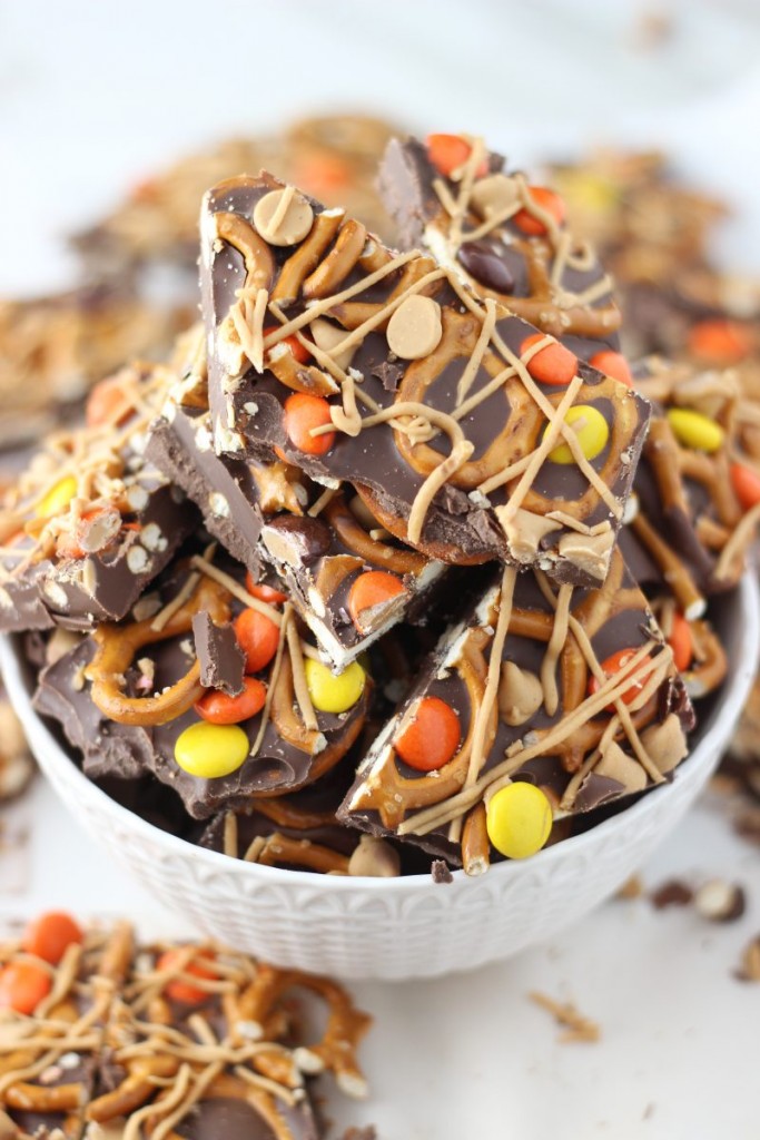 chocolate peanut butter pretzel bark 8