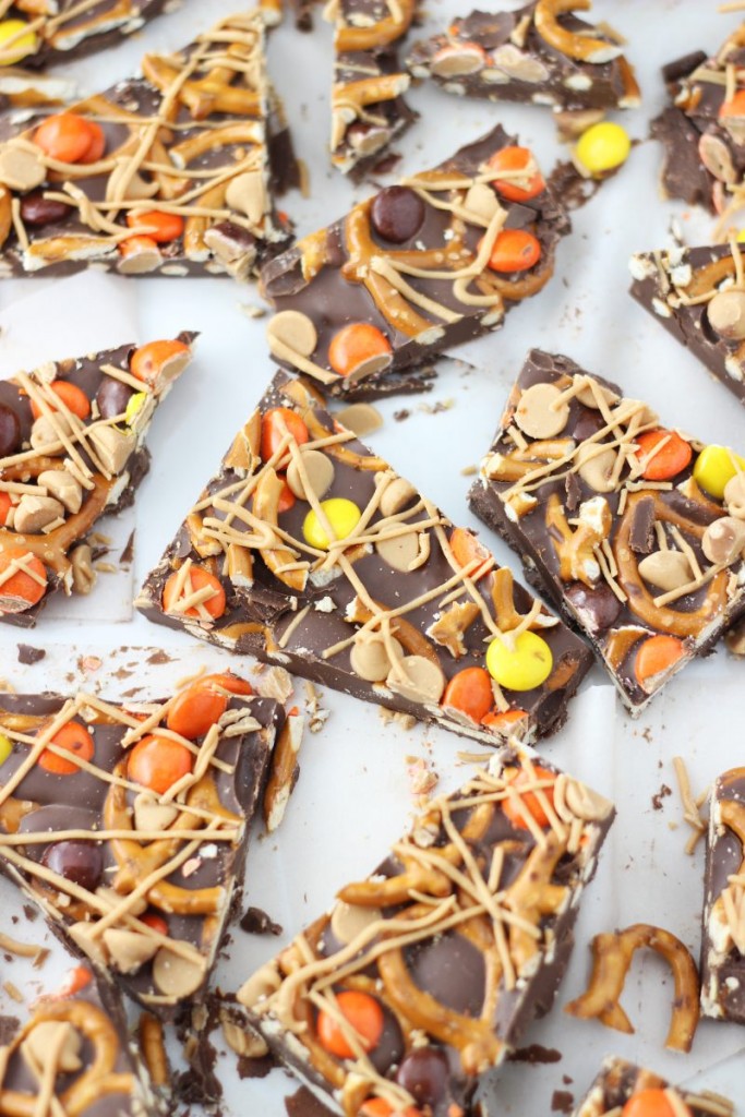 chocolate peanut butter pretzel bark 9