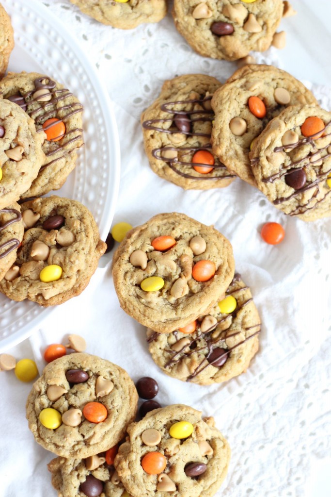 oatmeal peanut butter cookies 10