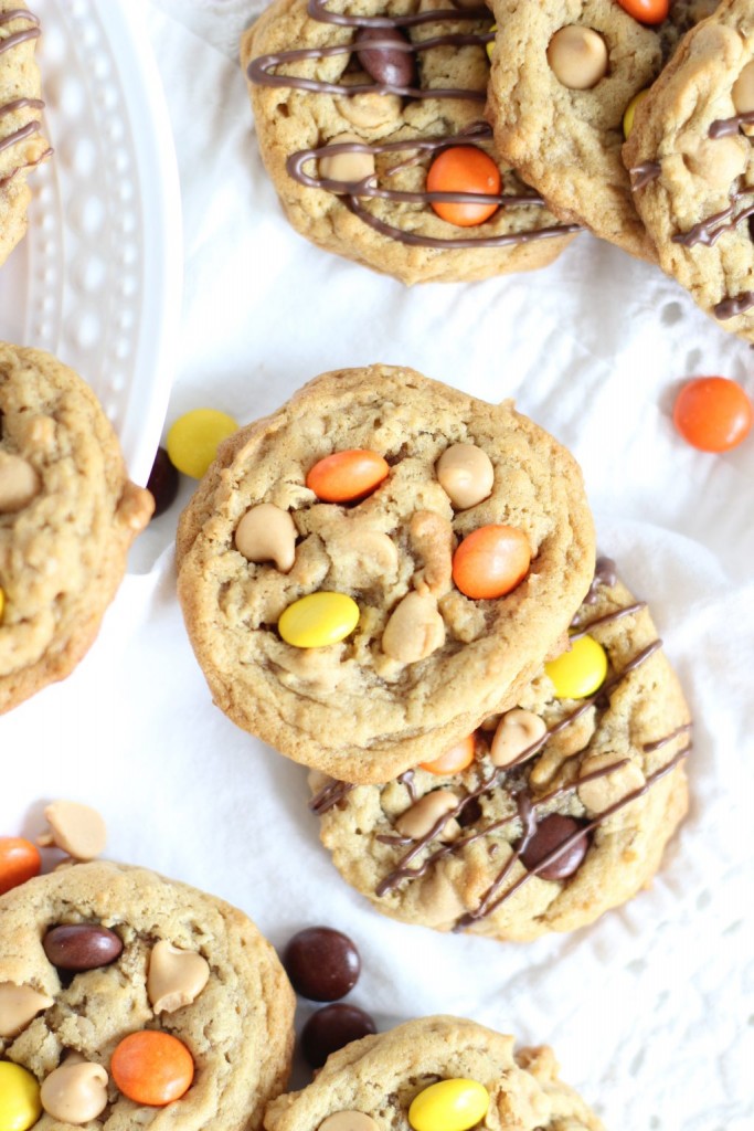 oatmeal peanut butter cookies 11