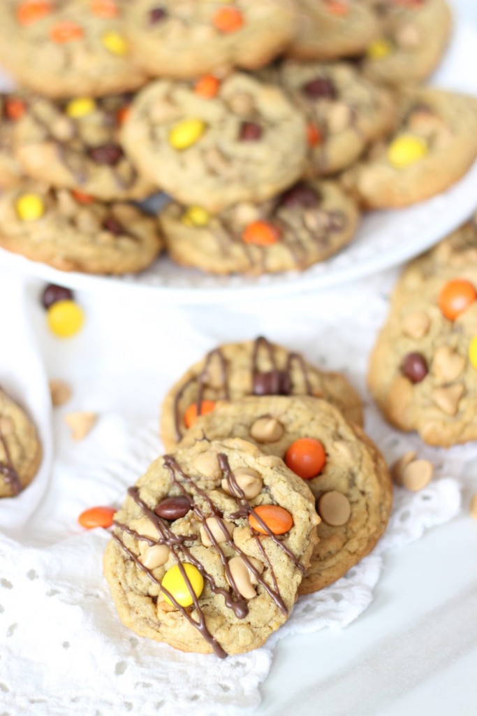 oatmeal peanut butter cookies 2