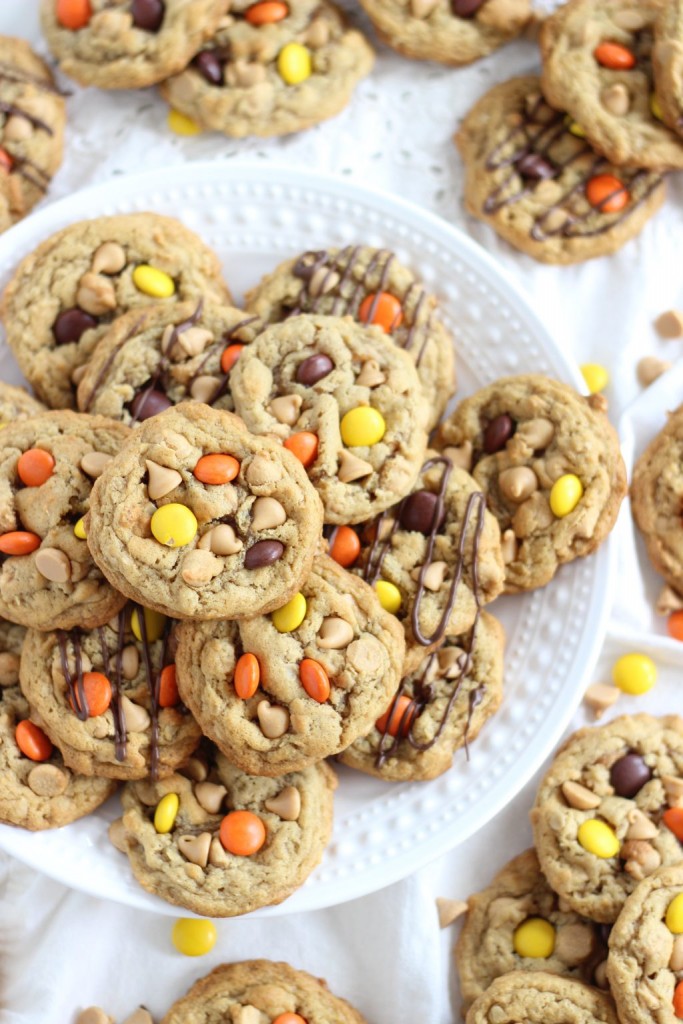 oatmeal peanut butter cookies 5