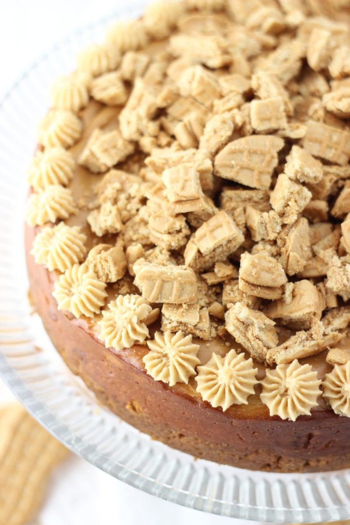 nutter butter peanut butter cheesecake 1