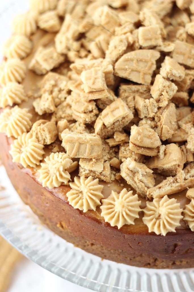 nutter butter peanut butter cheesecake 2