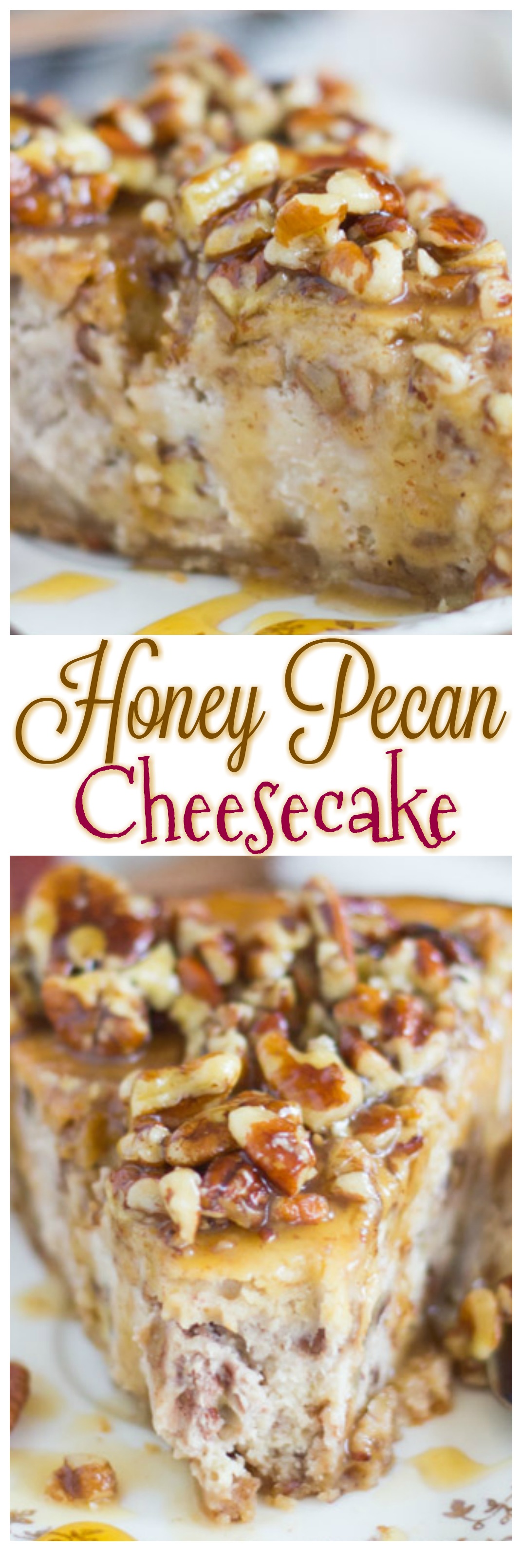 Honey Pecan Cheesecake with Pecan Shortbread Crust