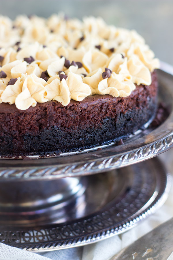 Ultimate Chocolate Peanut Butter Torte