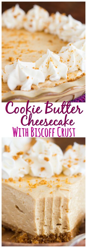 Cookie Butter Cheesecake with Biscoff Crust pin 1