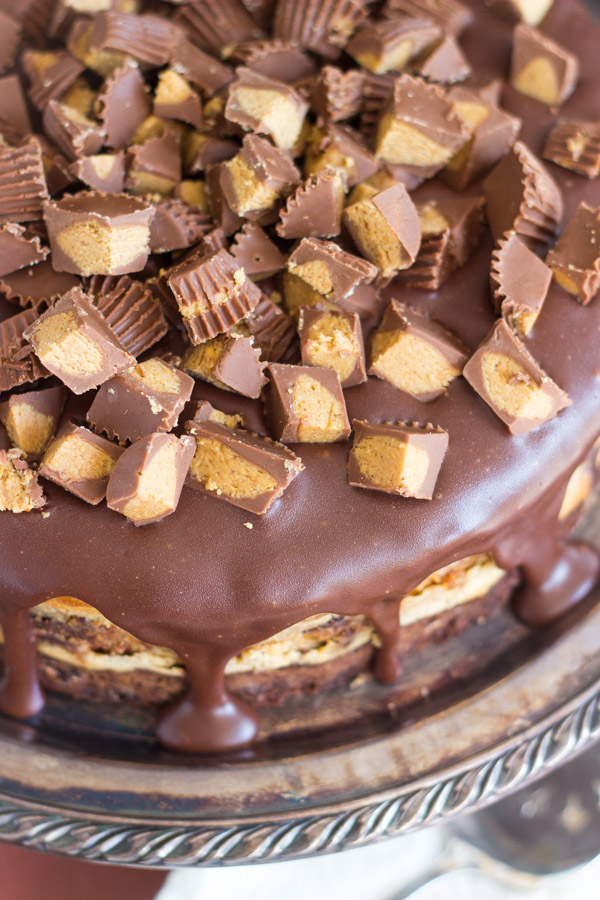 peanut-butter-cup-brownie-cheesecake-7
