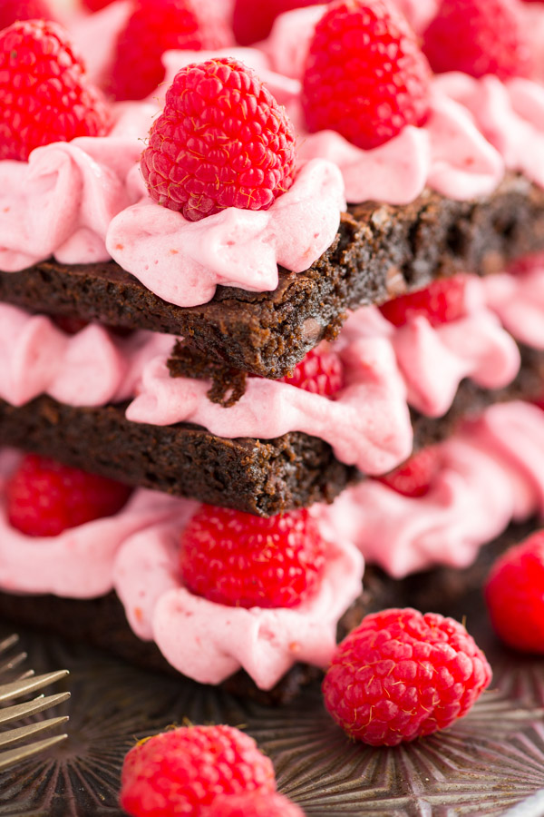 Raspberry Brownie Torte (7)