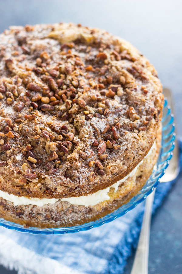 Layered Cinnamon Streusel Coffee Cake recipe image thegoldlininggirl.com 1