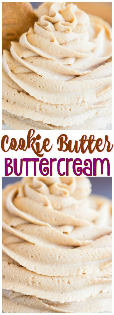 Cookie Butter Frosting recipe image thegoldlininggirl.com pin 2