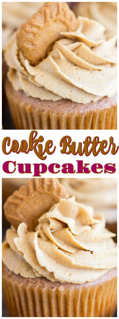 Cookie Butter Cupcakes recipe image thegoldlininggirl.com pin 2