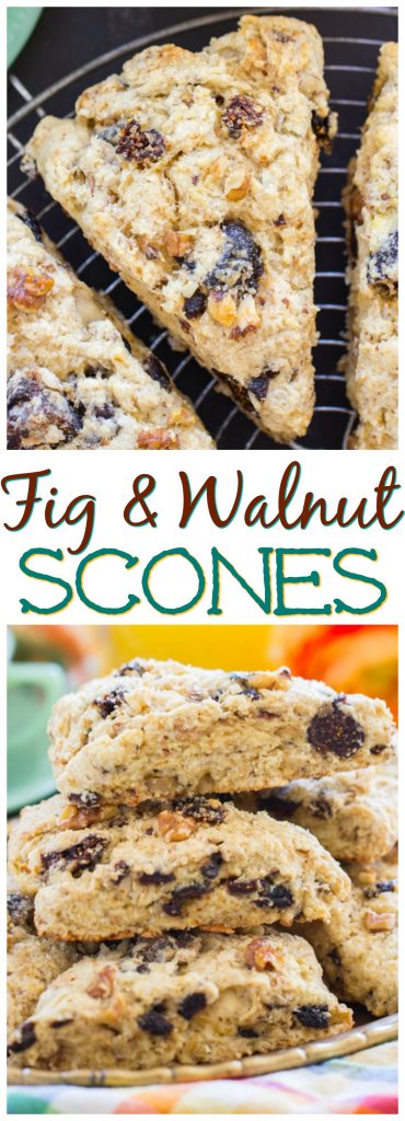 Walnut & Fig Scones thegoldlininggirl.com recipe image pin