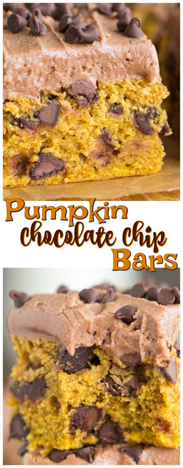 Pumpkin Chocolate Chip Bars - The Gold Lining Girl