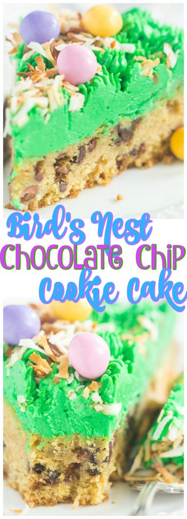 Bird's Nest Chocolate Chip Cookie Cake recipe image thegoldlininggirl.com pin 1