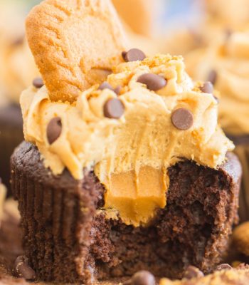 Chocolate Cookie Butter Cupcakes recipe image thegoldlininggirl.com 600x900 2