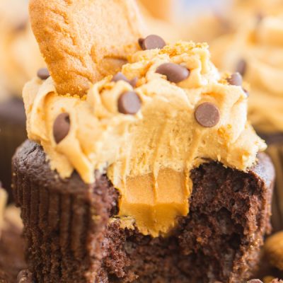 Chocolate Cookie Butter Cupcakes - The Gold Lining Girl