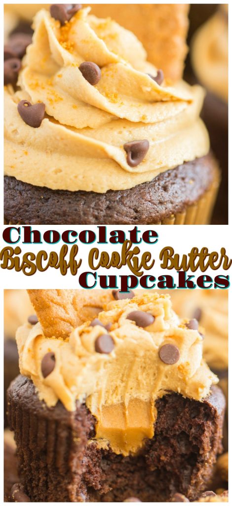 Chocolate Cookie Butter Cupcakes with Cookie Butter Frosting recipe image thegoldlininggirl.com long pin 1