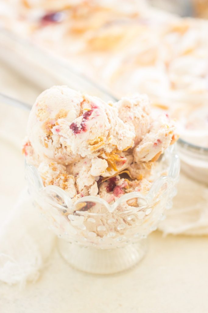 No Churn Peanut Butter & Jelly Ice Cream recipe image thegoldlininggirl.com 6