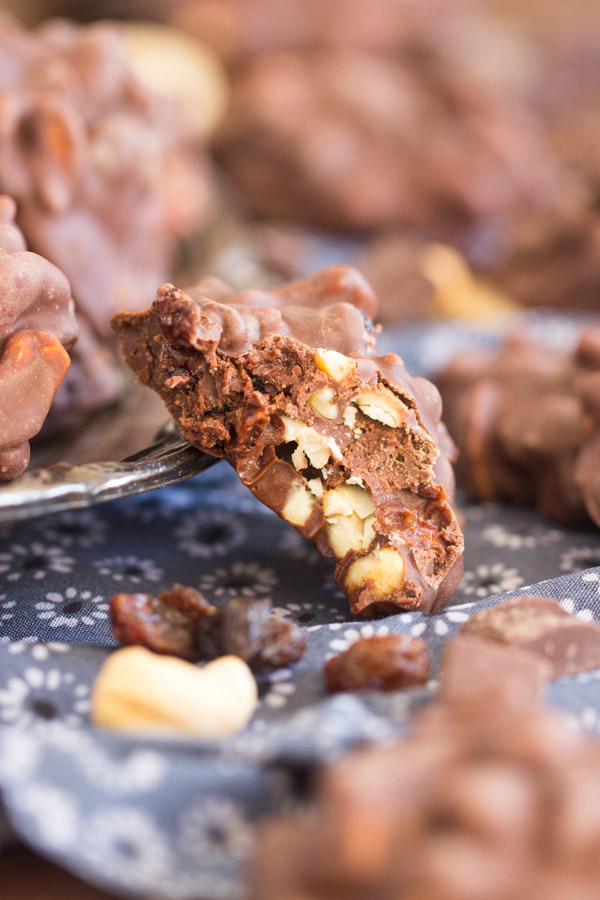 Raisin Cashew Fudge Drops The Gold Lining Girl