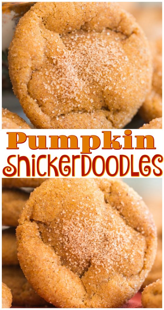 Pumpkin Snickerdoodles recipe image thegoldlininggirl.com long pin 1
