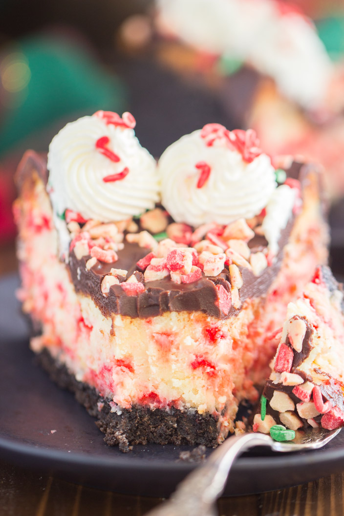 Peppermint Bark Cheesecake - The Gold Lining Girl