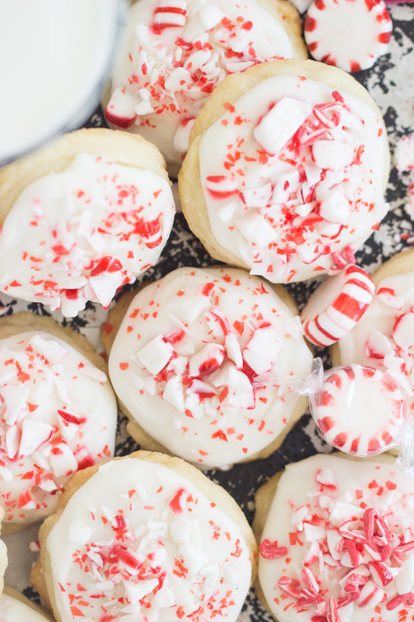 Peppermint Amish Sugar Cookies The Gold Lining Girl