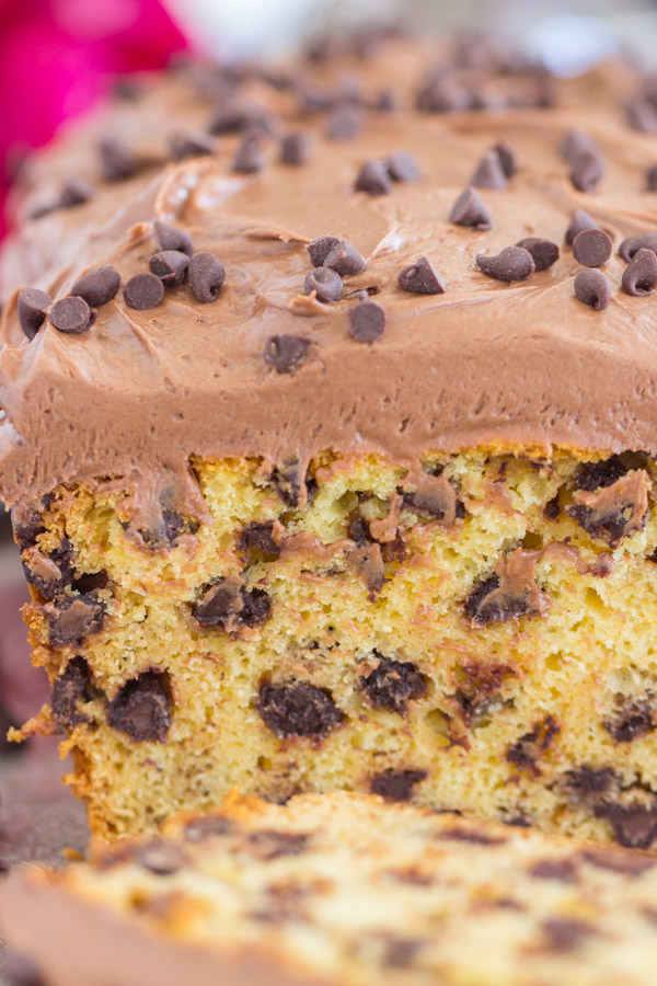 LOADED CHOCO CHIP CAKE – SahniBakery