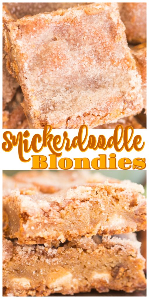Snickerdoodle Blondies 