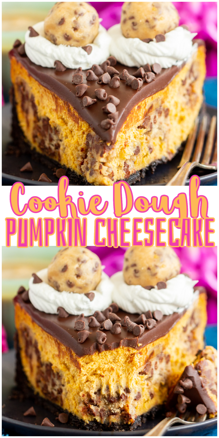 Chocolate Chip Cookie Dough Pumpkin Cheesecake • The Gold Lining Girl