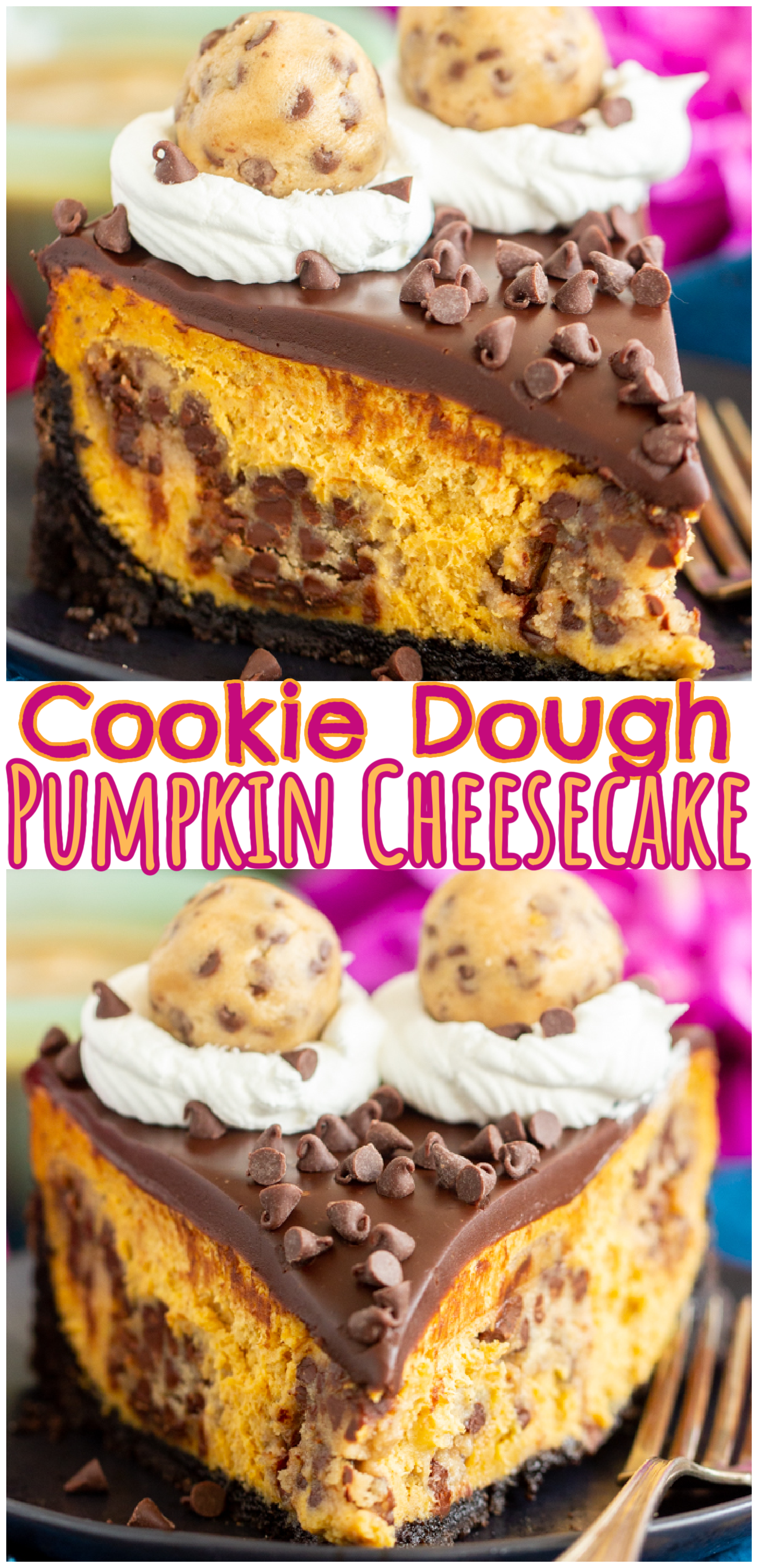 Chocolate Chip Cookie Dough Pumpkin Cheesecake • The Gold Lining Girl